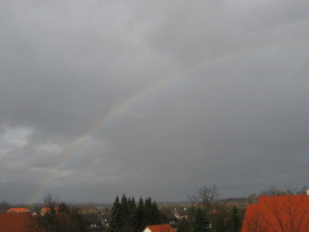 Blick aus meinem Zimmerfenster